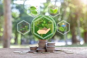 اقتصاد وبيئة istockphoto 1908777522 612x612