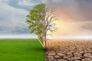 اقتصاد وبيئة azxdvw3basdn1wo2ecdgw8h5xniphgl7h7zl9gkf