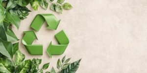 اقتصاد وبيئة whatsapp image 2026 01 03 at 4.05.40 pm